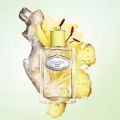 Prada Infusion de Gingembre