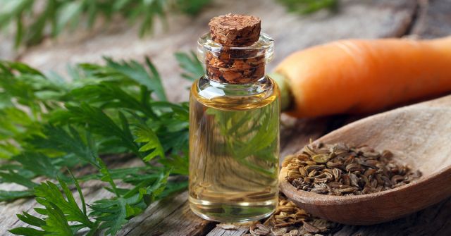 Mrkev v životě a parfému