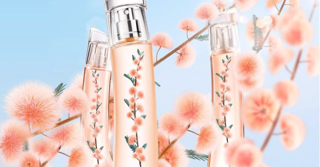 FLOWER IKEBANA MIMOSA BY KENZO