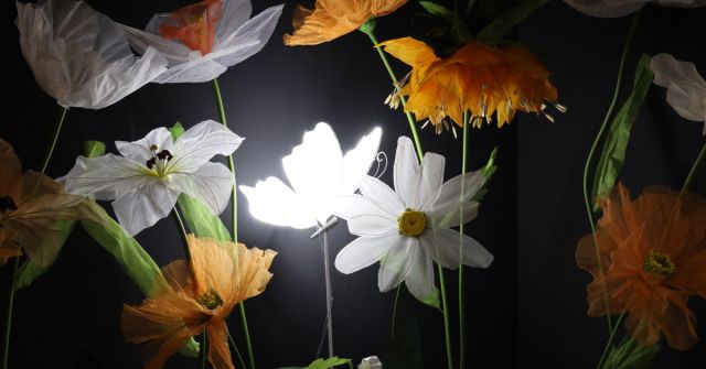 ESXENCE 2024: Dojmy z druhého dne