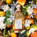 Kolekce Aqua Allegoria Mandarine Basilic značky Guerlain: Různé tvary bílé