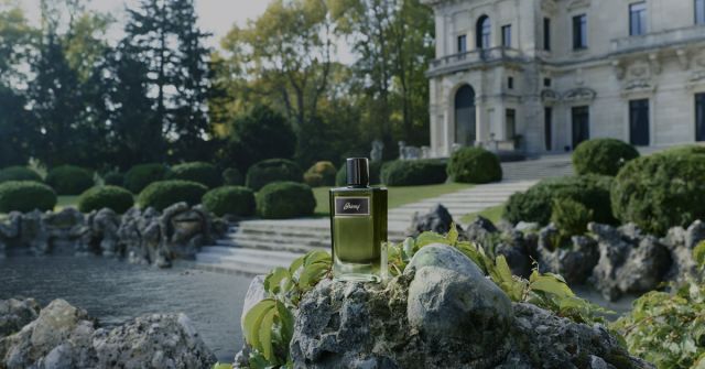 Brioni Eau De Parfum Essentiel: Rajčatový list ukrytý v jemné dětské fougère vůni