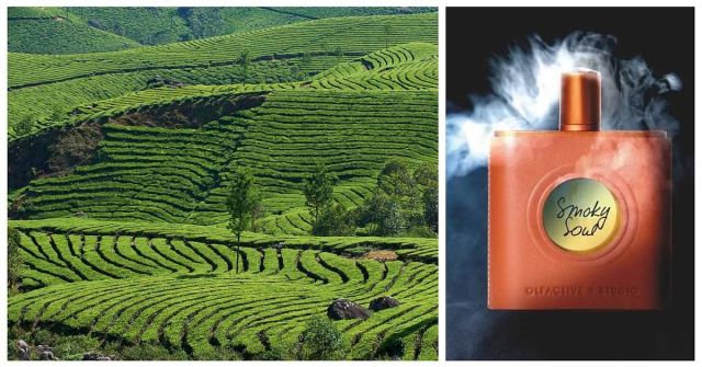 Recenze – Smoky Soul Olfactive Studio