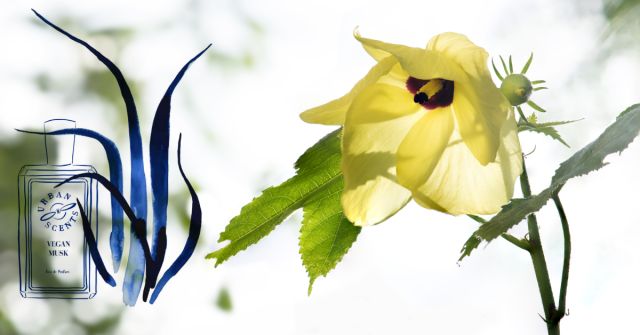 Vegan Musk od Urban Scents: Člověk ve městě a v přírodě