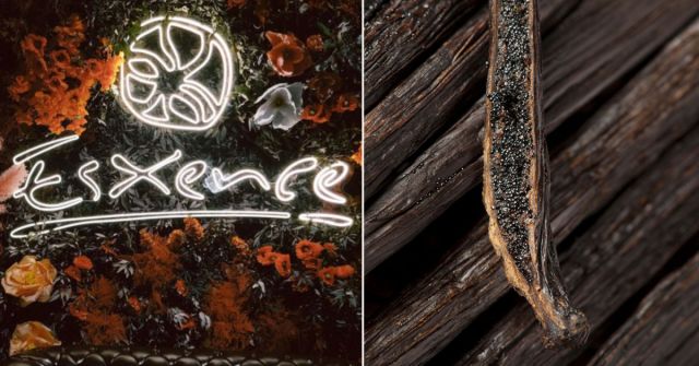 Vanilka – jeden z trendů na Esxence 2024