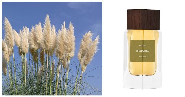 El Descanso Frassai: Odpočívání jako Argentinec