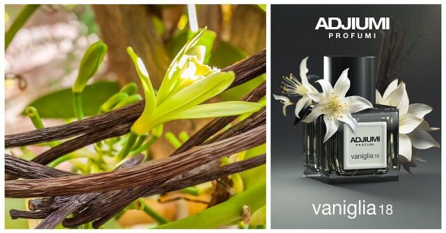 Vaniglia 18 Adjiumi: Záleží na velikosti?