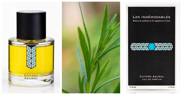 Les Indémodables Chypre Azural: Bujná a na míru šitá lékořicová kolínská