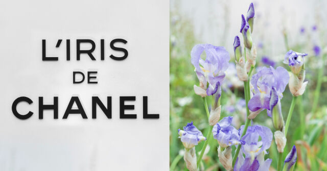 Výstava věnovaná L'Iris Pallida od Chanel