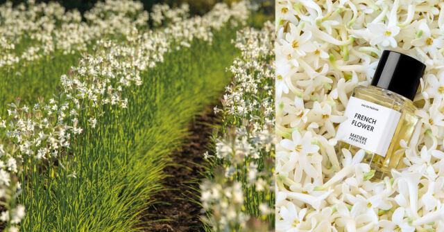 Matière Première vítá společnost Kering Beauté jako minoritního investora do svého kapitálu