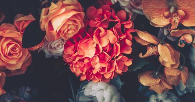 Vintage atmosféra: Zkoumání moderních vůní se starými dušemi – Část 1