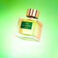 Wild Tuberose Manos Gerakinis: Exkluzivní květinová čokoláda 