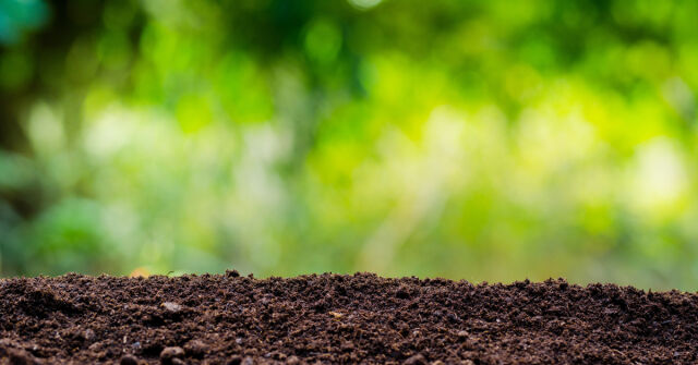 Aztécká mytologie, Goya a kozy: Šest zemitých vůní od řemeslných značek