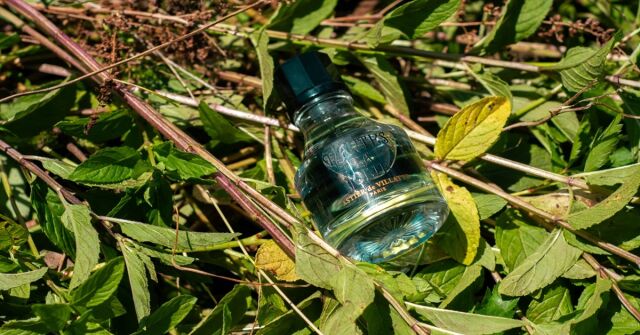 Z plíživé zahrady: Mantes La Jolie Astier de Villatte