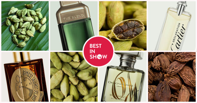 Best In Show: Kardamom (2024)