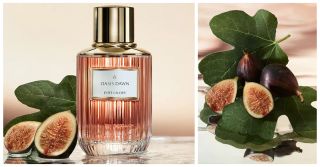 Estée Lauder Oasis Dawn: Mistrovská parfumerie v nejlepším světle