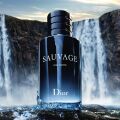 Dior Sauvage Eau Forte: Sebevědomé spojení Fahrenheita a Sauvage