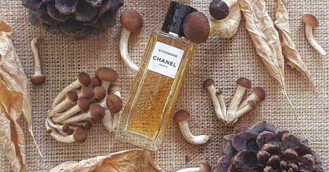 Chanel Sycomore: Kaštany pečené na vetiverovém ohni