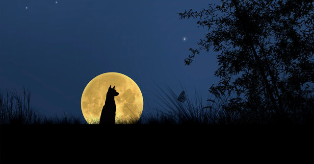 Parfémový horoskop: 4. listopadu –10. listopadu