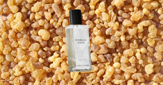 Boswellia Scotia: Novinka od Jorum Studio