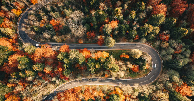 Parfémový horoskop: 25. listopadu - 1. prosince