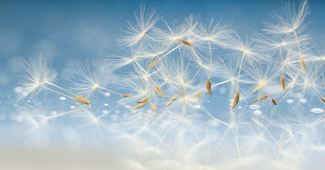 Parfémový horoskop: 9. prosince - 15. prosince