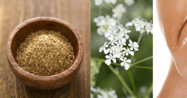 KMÍN: Polarizační tón potu a intimity