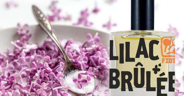 Dáma šeřík se skořicovou tyčinkou v kuchyni: Fascinující mystika Fzotic a případ post-postmoderního květinového gurmána