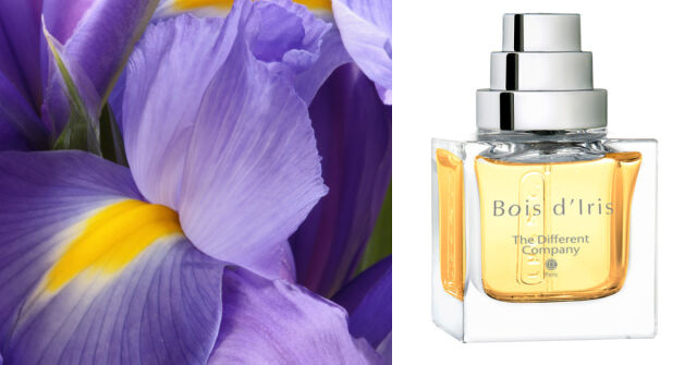 The Different Company Bois D'Iris: Jean-Claude Ellena používá narcis pro sluneční svit