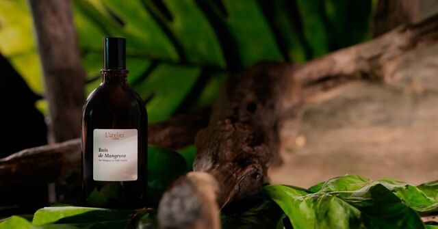 Bois de Mangrove od 100Bon: Kouř, ananas, alpská svěžest