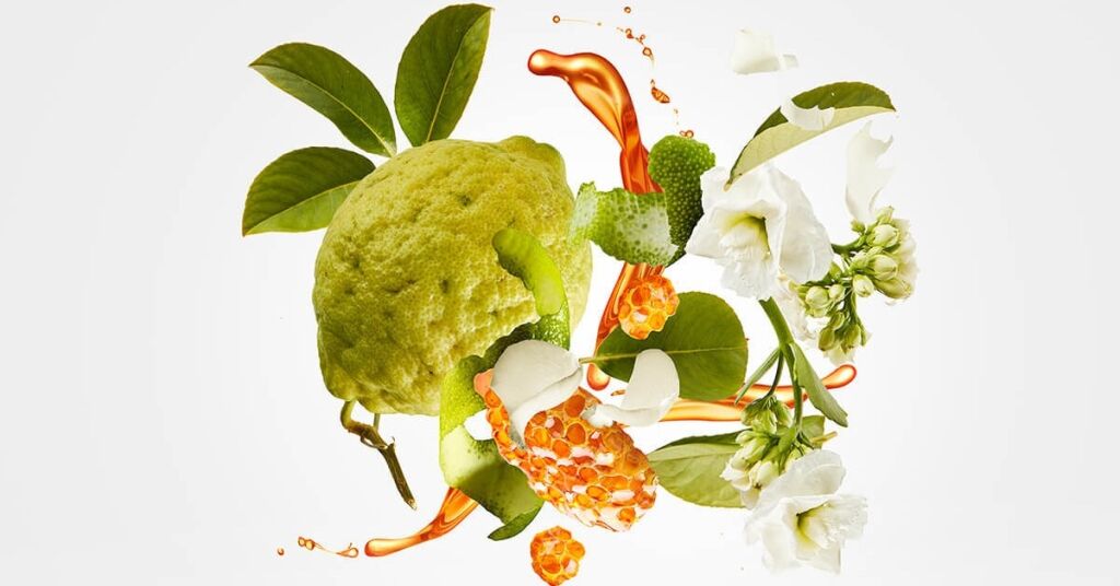 Alternativní čtení XJ 1861 Naxos: Nadýchaný ananasový dort, marcipán, cream soda s černým rybízem