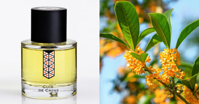 Les Indémodables Cuir De Chine: Velmi masitá, vlhká a kašovitá vůně osmanthu