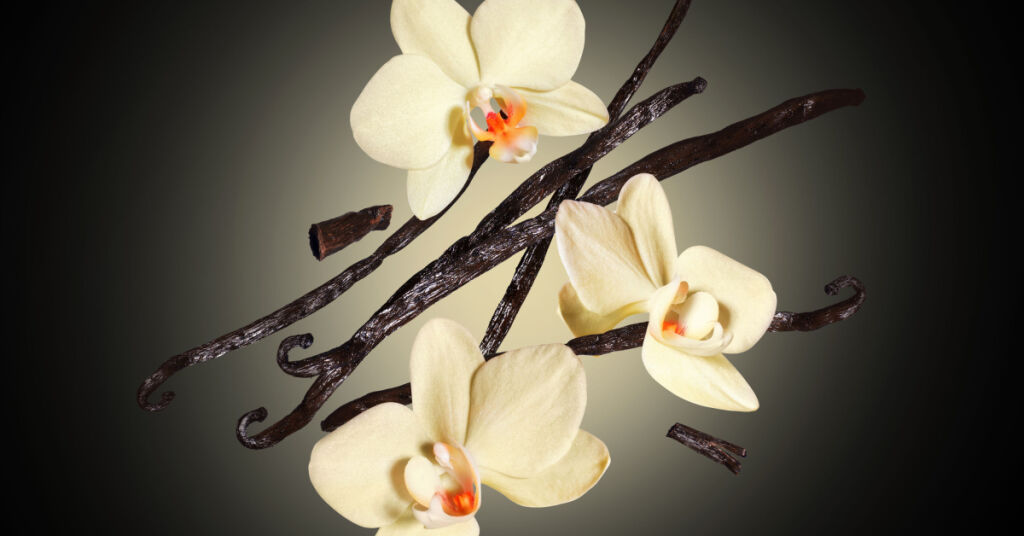 Případ trendu vanilky a parfémů