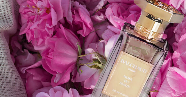 BALCHAUD, inspirováno vážkami!