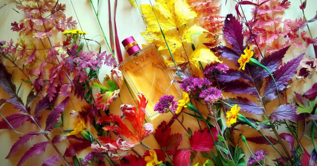 Allure Sensuelle Chanel: Dvacet let krásy