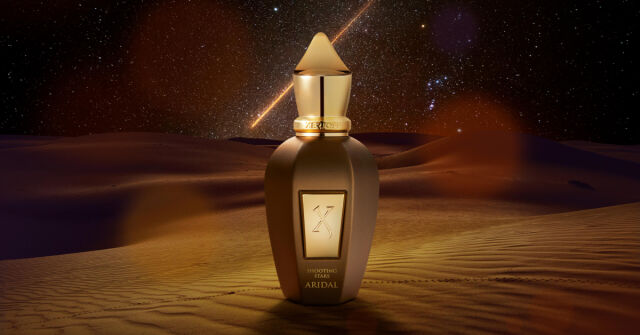 Xerjoff Aridal: Dior Homme Intense smíchaný do krémového latté