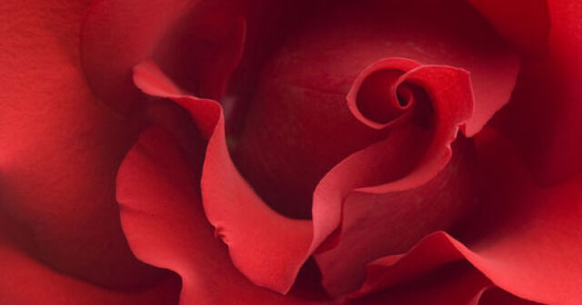 Valentýnský výběr vůní