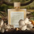 ScentXplore 2024: Bethiny oblíbenci