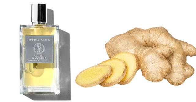 Mizensir Eau De Gingembre: Morillasova úprava zázvoru