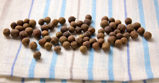 Allspice v přírodě, kuchyni a parfumerii