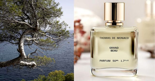 Grand Beau od Thomas de Monaco: zářivá svěžest pro jaro a léto