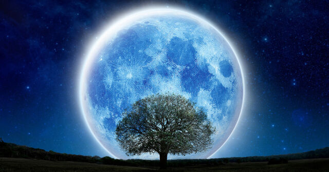 Parfémový horoskop: 7. dubna - 13. dubna