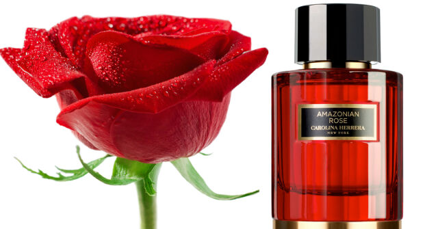 Růžová zahrádka Sane Witch: Zahrádka a zeleninový plácek hluboko v džungli