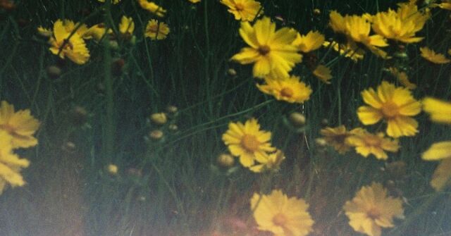 Vychutnávání si okamžiku Pause od Abel 