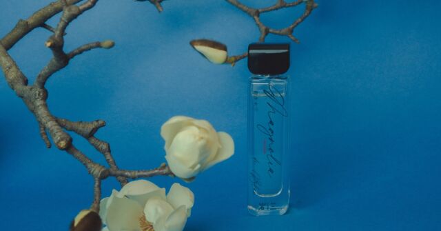 Magnolia de Bleu: Jemná a zářivá soliflore