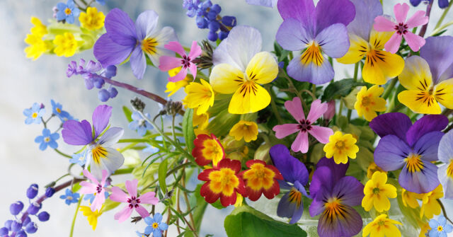 Oblíbené květinové vůně na jaro