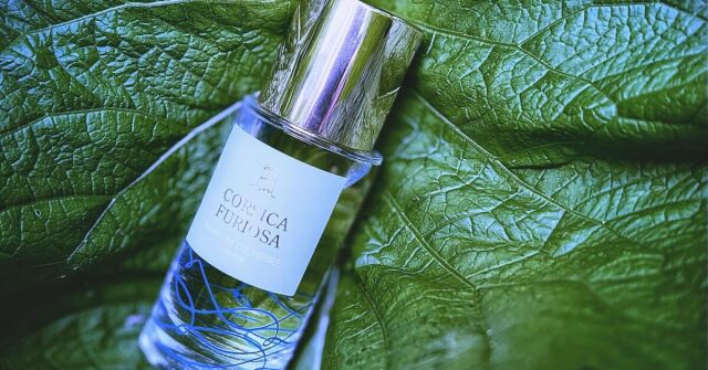 Parfum D'Empire Corsica Furiosa: Rozverný a rozervaný jako trávník lepkavý mízou