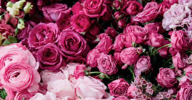 Oblíbené květinové vůně na jaro – část druhá