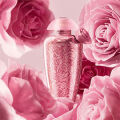 THE MERCHANT OF VENICE Rosa Moceniga Elixir