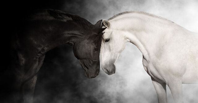 Parfémový horoskop: 19. května - 25. května